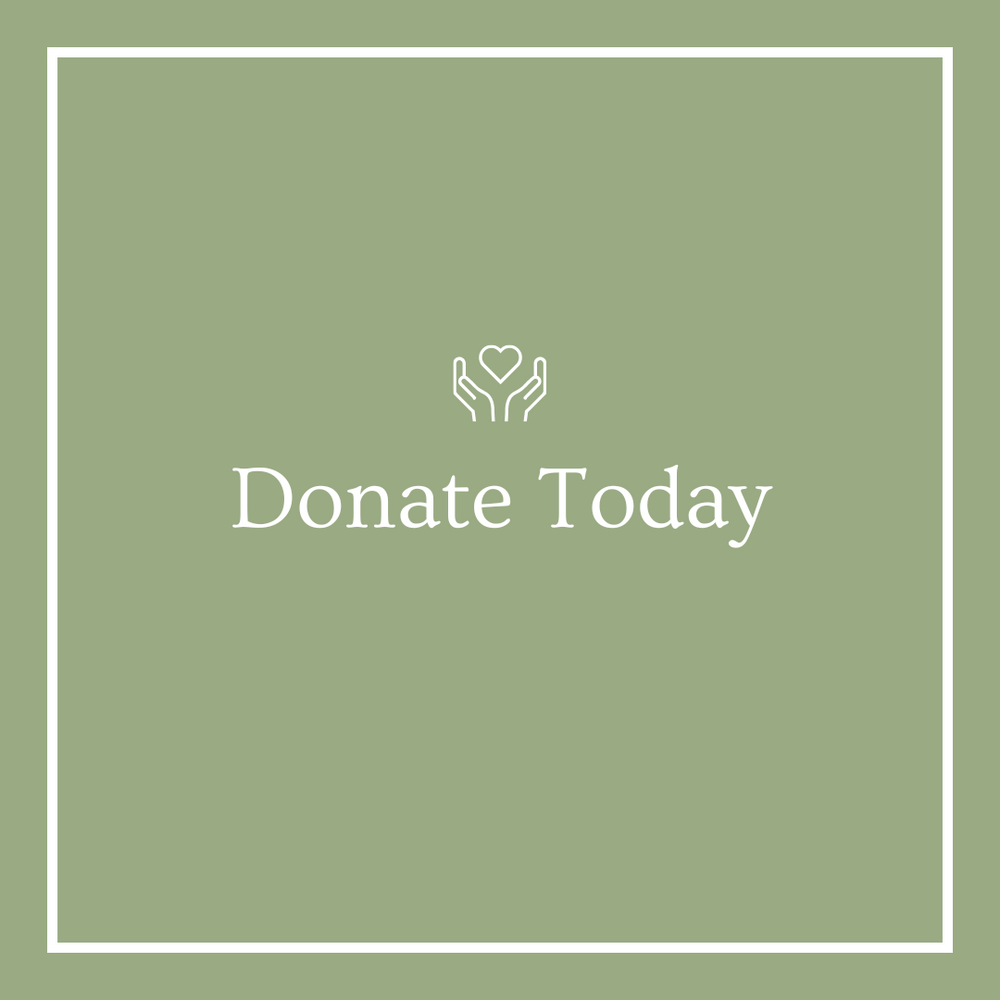 ¡Únete a nosotros y marca la diferencia hoy! Tu donación puede cambiar vidas y apoyar nuestra misión. Haz clic aquí para donar ahora y formar parte de algo significativo.